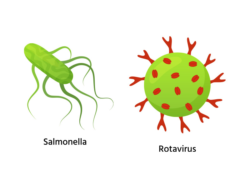 salmomella,rotavirus