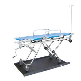 waga platformowa, elektroniczna waga platformowa, charder platformowa z bmi, platformowa  o długości 150cm